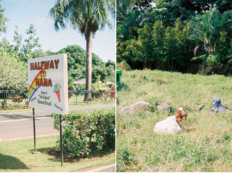 Best Stops on the Road to Hana in Maui