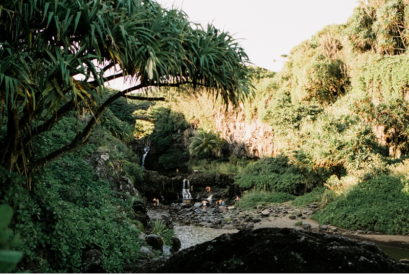 Best Stops on the Road to Hana in Maui