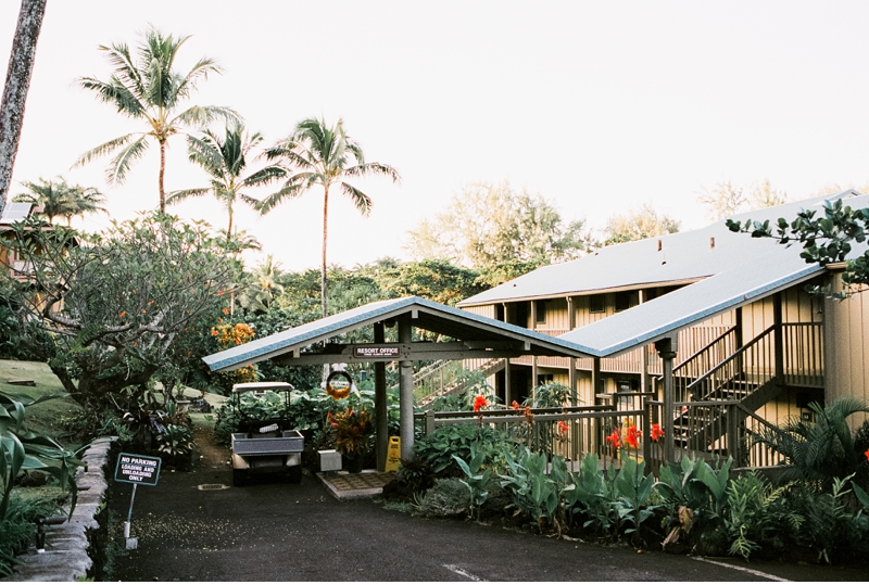 Best Stops on the Road to Hana in Maui