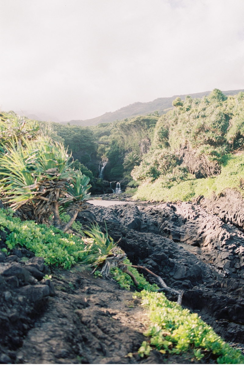 Best Stops on the Road to Hana in Maui