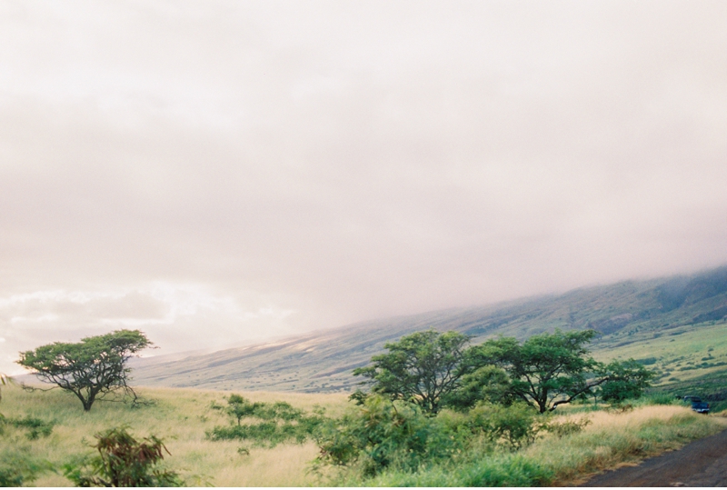 Best Stops on the Road to Hana in Maui