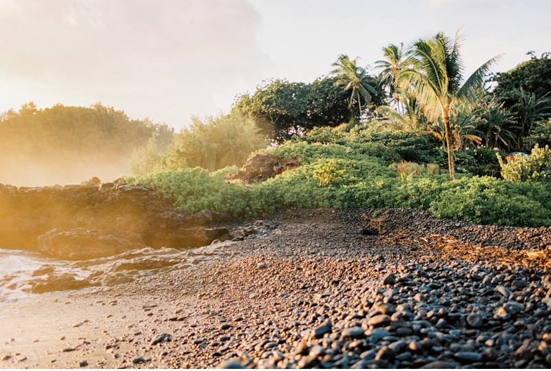 Best Stops on the Road to Hana in Maui