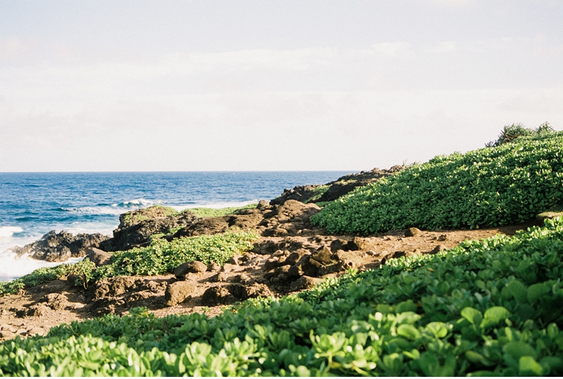 Best stops on the Road to Hana from Williamsons Go