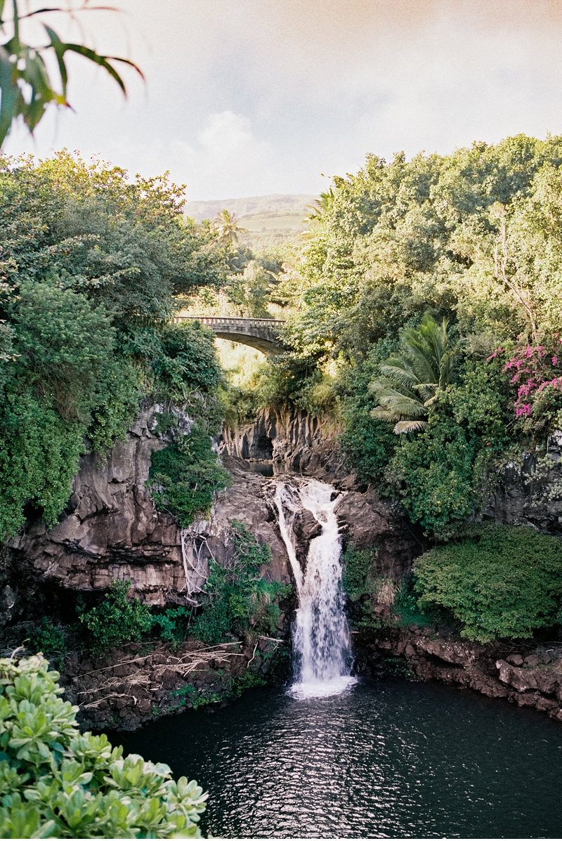 Best stops on the Road to Hana from Williamsons Go