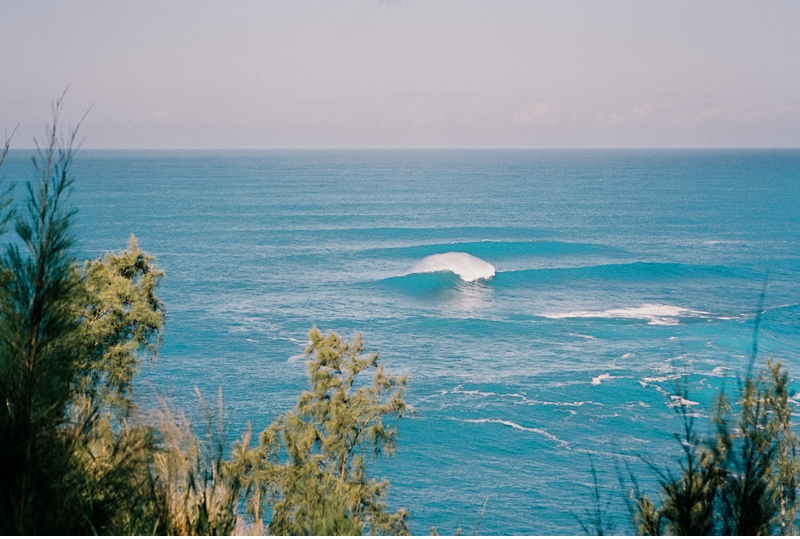 Best stops on the Road to Hana from Williamsons Go