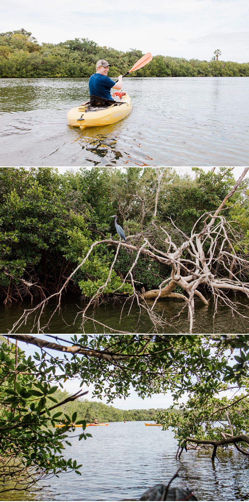 Lovers Key State Park Manatees