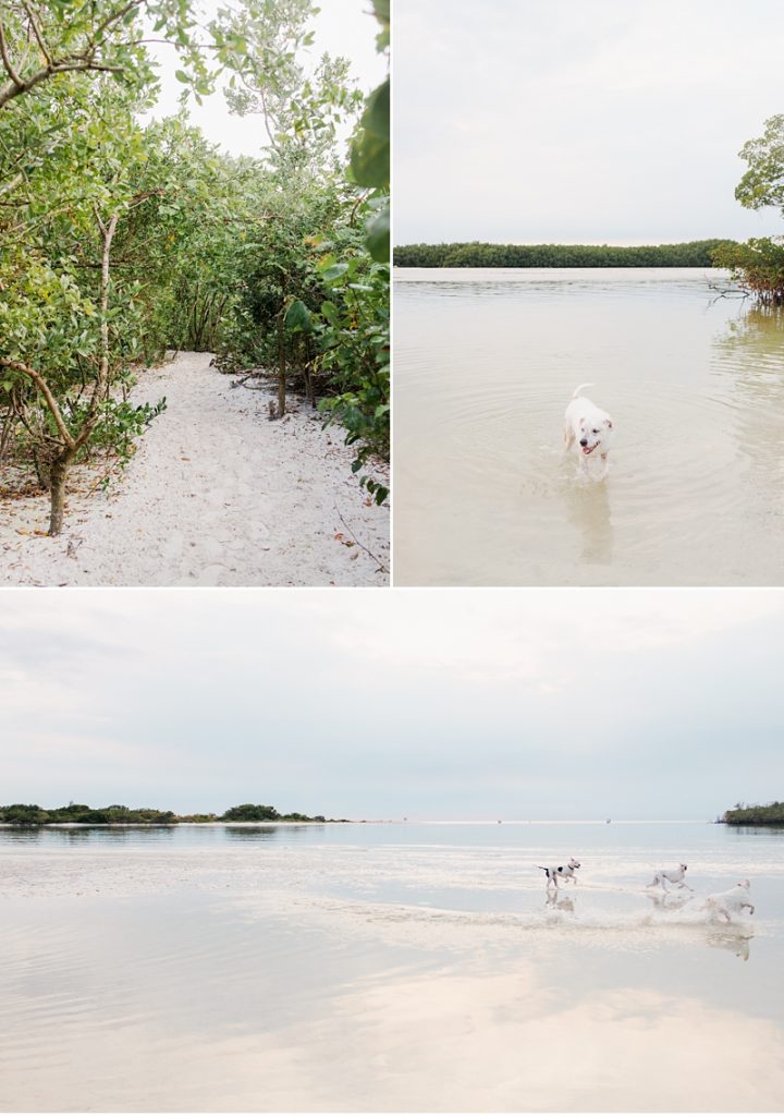 Dog Beach in Bonita Springs